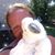 Dawn Kandl's profile image