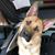 Annette Webber Helmbold's profile image