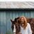 Bailey McClelland's profile image