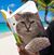Barbara Hoover's profile image