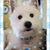Sharon Ann Shivers's profile image