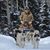 Ronna Armstrong Dellinger's profile image