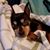 Shari Weyde Ferrantino's profile image