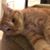 Donna Duren Smith's profile image