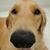 James Elliott's profile image