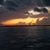 Julie Winkle-Pettit's profile image