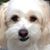 Jackie Crate's profile image