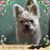 Roxanne Anderson's profile image