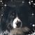 Julie Compton's profile image