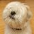 Gene Toy's profile image