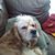 Patrick W. Egan's profile image