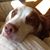 Cindy Smith's profile image