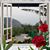 Dora Clavel's profile image