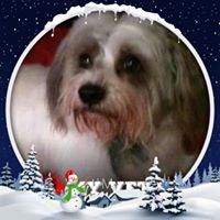 Chrissy M VH's profile image