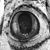 Michelle McCurdy's profile image