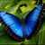 Maria Gomez's profile image