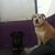 Marley Morrison's profile image