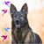 Dave Nadolny's profile image