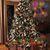 Linda Silver DiPietro's profile image
