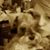 Paula Owens's profile image