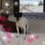 Stephanie Kay Miedema's profile image