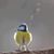 Ollie Bird's profile image