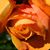 April Harding's profile image