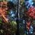 Cindy Guzzetta's profile image