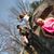 Amber-Lynn Gibbs Mann's profile image
