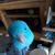 Debi's Fids's profile image