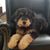 Karen Driol's profile image