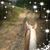 Nichole Borst's profile image