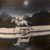 Catey Kuzma's profile image