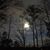 Sue Reid Wood's profile image