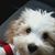 Mary Altonen's profile image