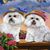 Susan Ed's profile image