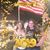 Kim Stults's profile image