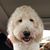 Janie Kinsey's profile image
