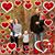 Julie Peterson's profile image