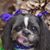 Shirley J Brown's profile image
