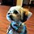 Carol Beckman Strickland's profile image