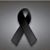 Fatima Flores's profile image