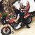 Alysha Thurlow's profile image