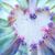 Britt Rasmussen's profile image