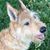 Jenn Cannon's profile image