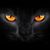 Ally Davis Kraai's profile image