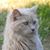 Patti Pellegrin's profile image