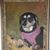 Jennifer Indicott's profile image