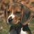 Jim Bartges's profile image