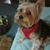 Kathy E Windt's profile image